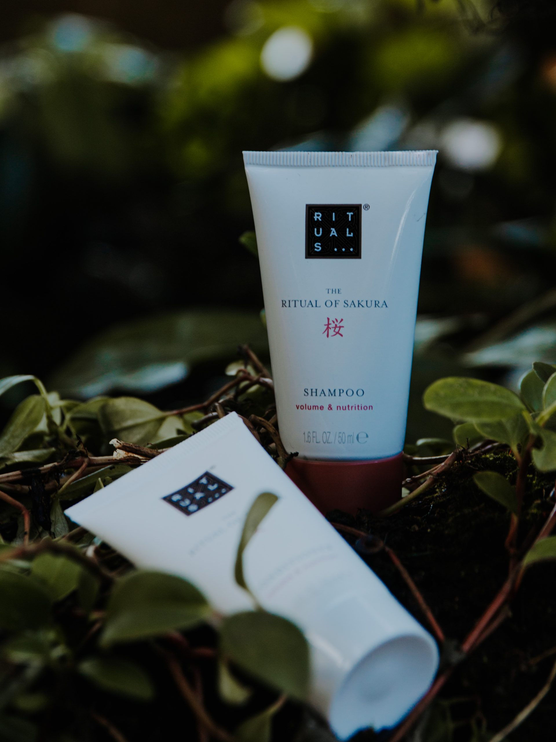 product-shot-7